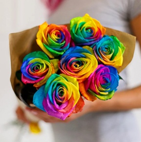7 радужных роз Эквадор (60 см) в Москве