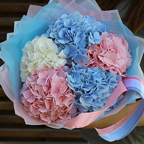 Букет из 5 гортензий нежный микс в Москве