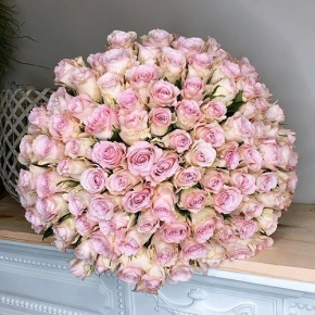 101 роза Бэлла-Роса (40 см) в Москве