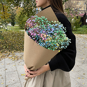 Букет радужных гипсофил (50 см) в Москве