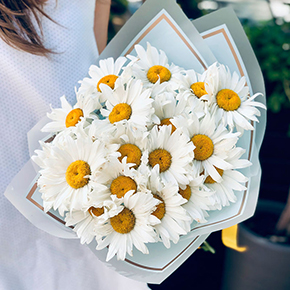 Букет из 17 крупноголовых ромашек в Москве