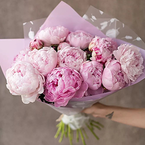 Букет 15 пионов в Москве