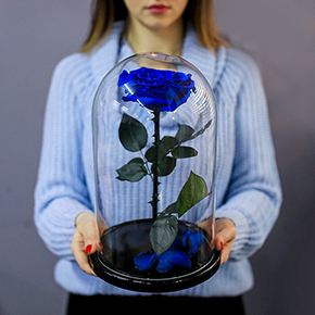 Синяя роза в колбе L (32 см) в Москве