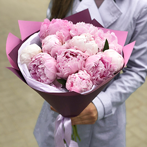 Букет из 11 пионов Сара Бернар в Москве