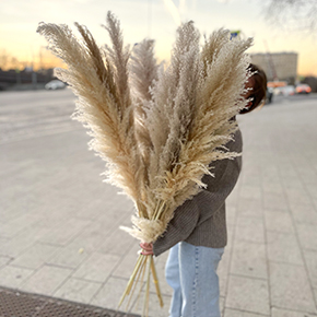 Букет пампасная трава (120 см) в Москве