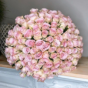 Букет 101 роза Бэлла-Роса (50 см) в Москве