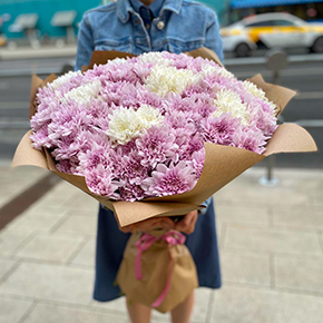 Букет из 35 хризантем Свит Чиз в Москве