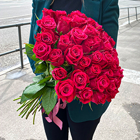 51 малиновая тепличная роза (50 см) в Москве