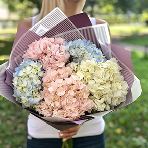 Букет Колумбийских гортензий в Москве