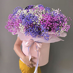 Огромная шляпная коробка разноцветных гипсофил  в Москве