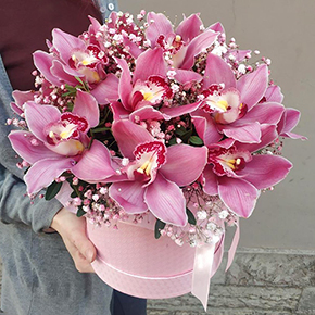 Орхидеи с гипсофилой в шляпной коробке в Москве