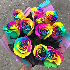 Букет 11 радужных роз Эквадор (60 см) в Москве