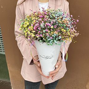 Разноцветная гипсофила You are beautiful в Москве