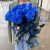 15 синих LUX роз Эквадор (60 см) в Москве