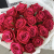 19 малиновых роз (50 см) в Москве