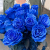 15 синих LUX роз Эквадор (60 см) в Москве