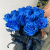 15 синих LUX роз Эквадор (60 см) в Москве