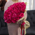 Букет 51 малиновая роза Эквадор (60 см) в Москве