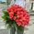Букет 51 роза коралл (50 см) в Москве Букет 51 роза коралл (50 см) в Москве