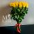 Букет 25 желтых роз эквадор (60 см) в Москве