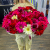 51 гербера рубиновый микс в Москве