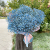 Облако голубых гипсофил (букет гигант) в Москве